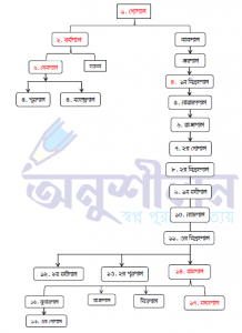 পাল বংশের শাসকদের তালিকা