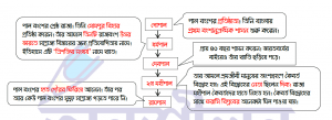 পাল শাসকদের অবদান